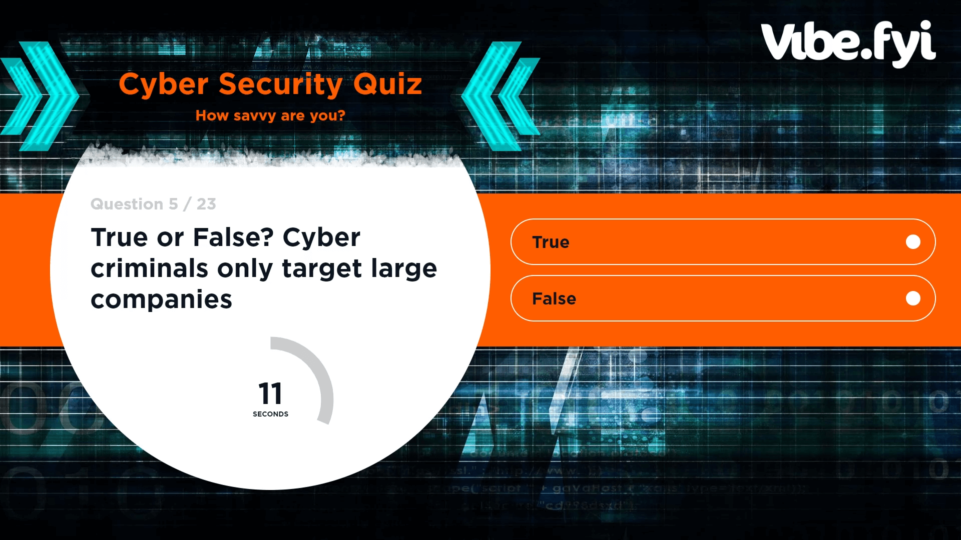 Preview of the vibe.fyi cyber security program quiz