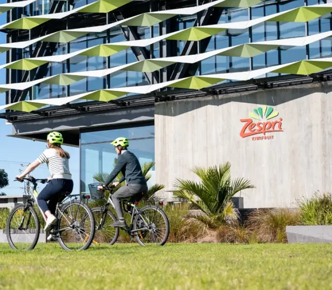 Zespri reception area displaying Vibe digital signage content